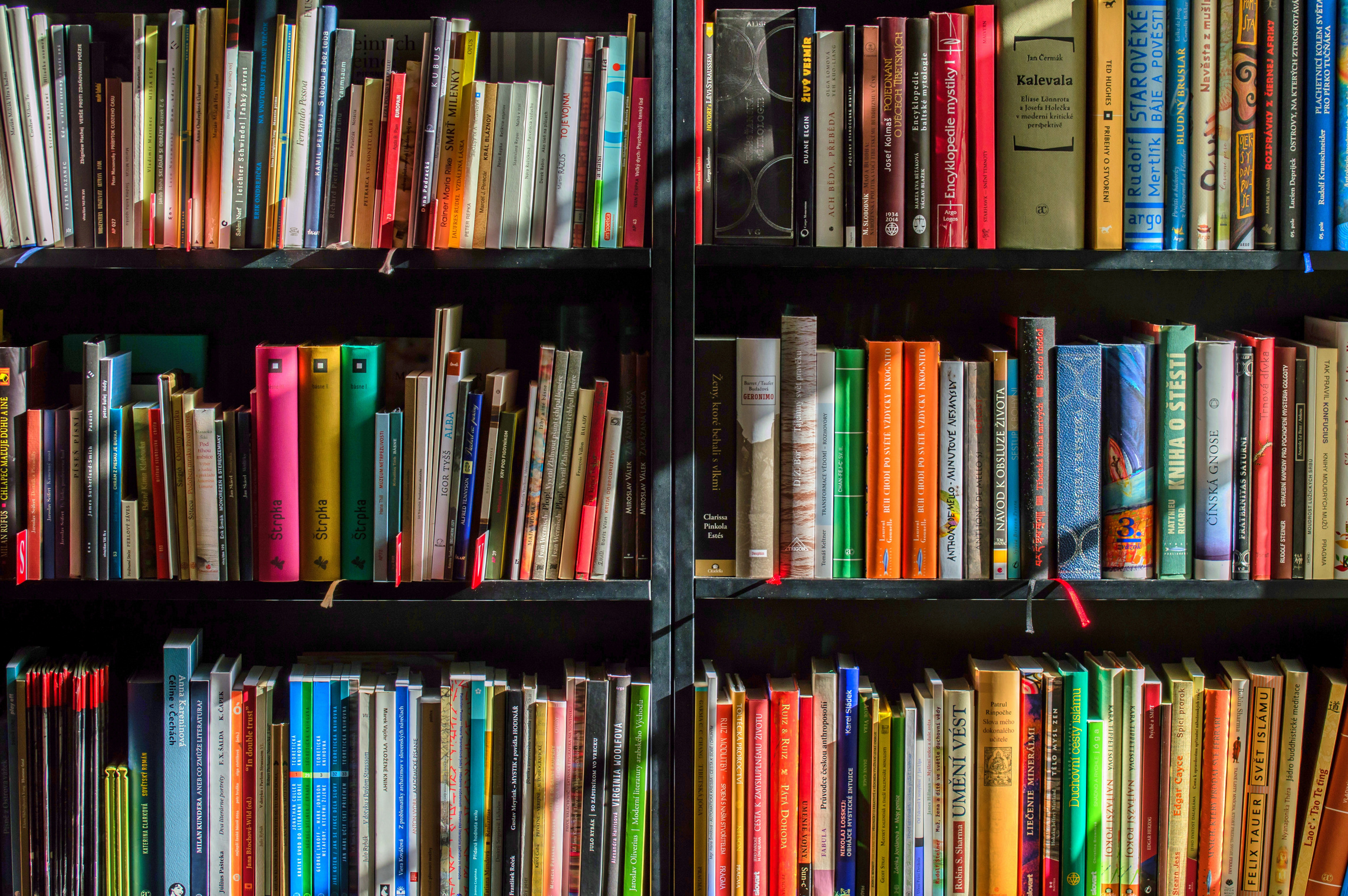 Books in the Library